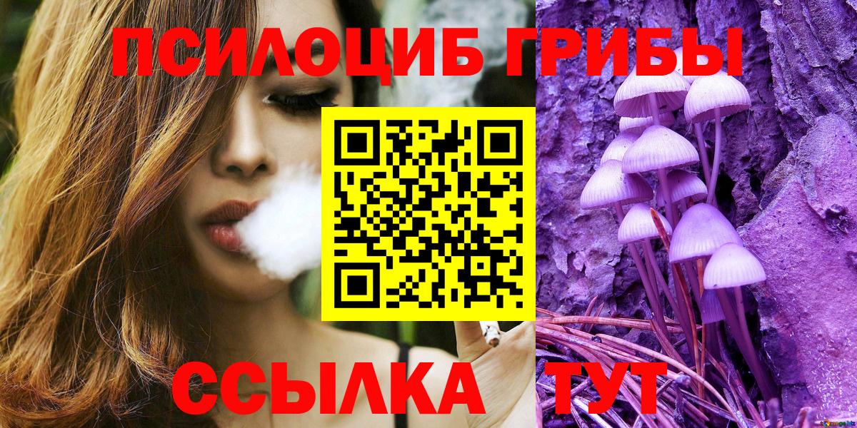 Кыштым  Псилоцибиновые грибы MAGIC MUSHROOMS  Вход с VPN 
